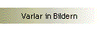 Varlar in Bildern